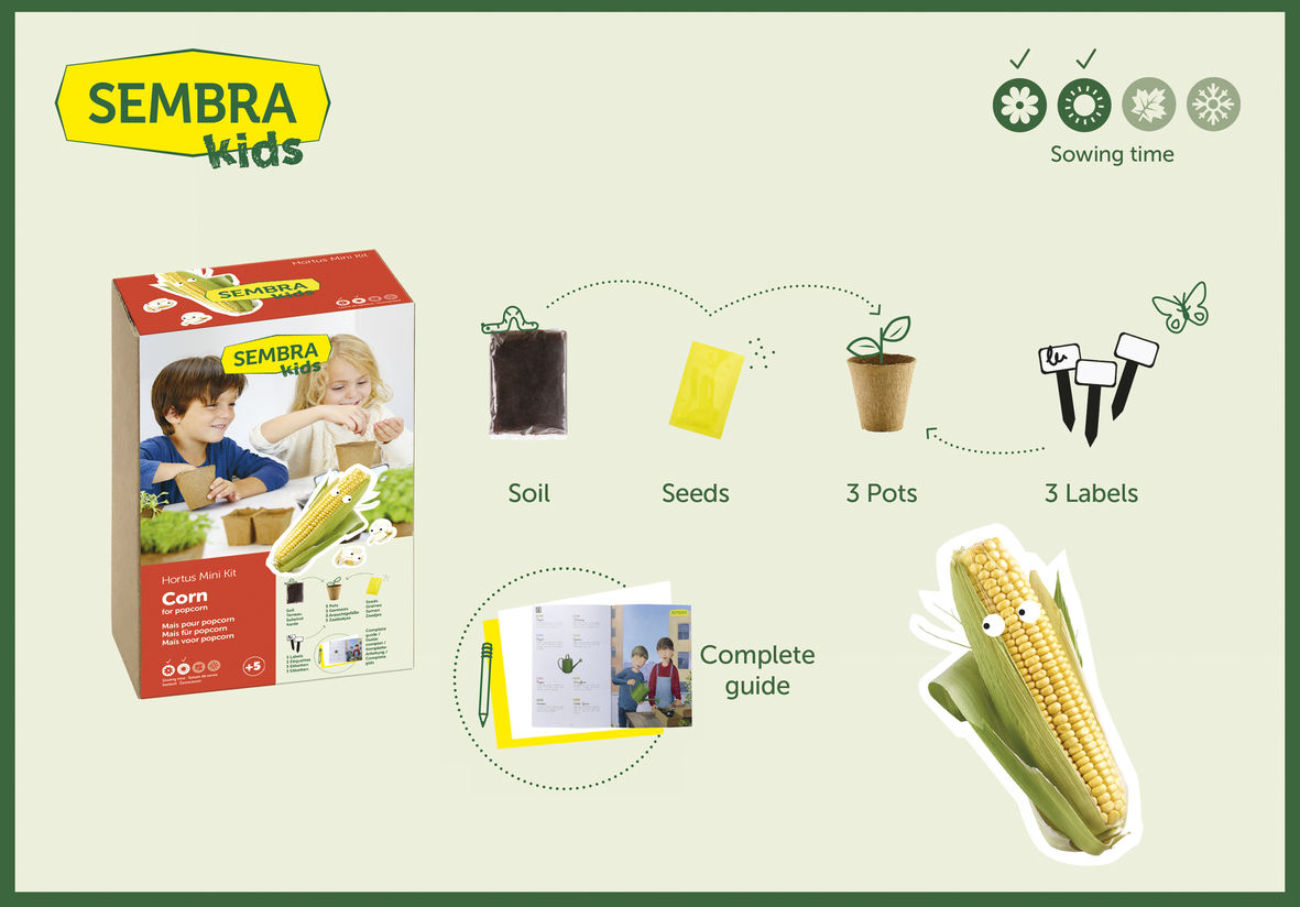 Children's Popcorn Corn Grow Kit