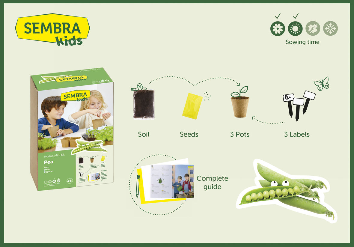 Children's Summer Pea Grow Kit